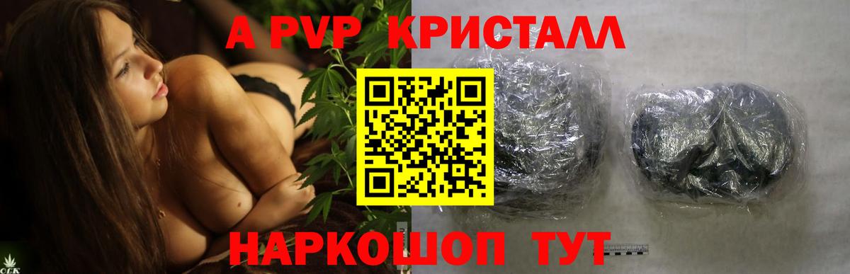 A PVP СК Шахты