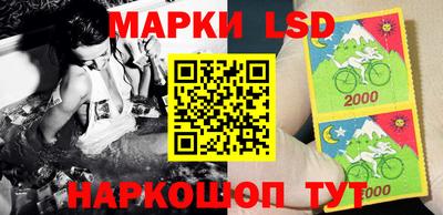 ECSTASY Кунгур