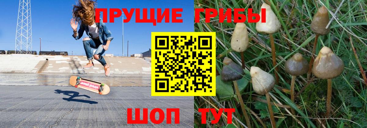 Шахты  Галлюциногенные грибы Magic Shrooms  Вход с VPN 