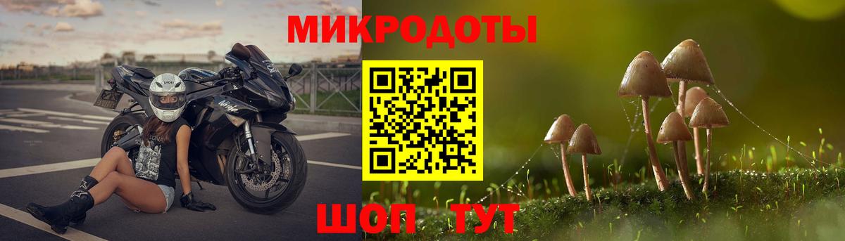 Галлюциногенные грибы прущие грибы Шахты